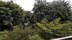 Park 1 Suites (D14), Apartment #626073441